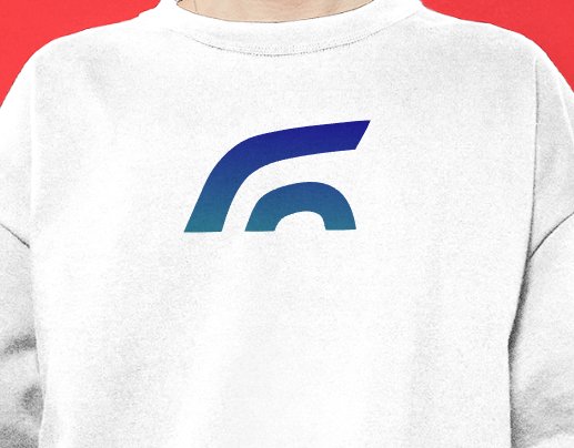 Company logo «Naslednik DV» 3