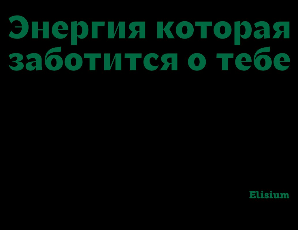 Company logo «Elisium» 5