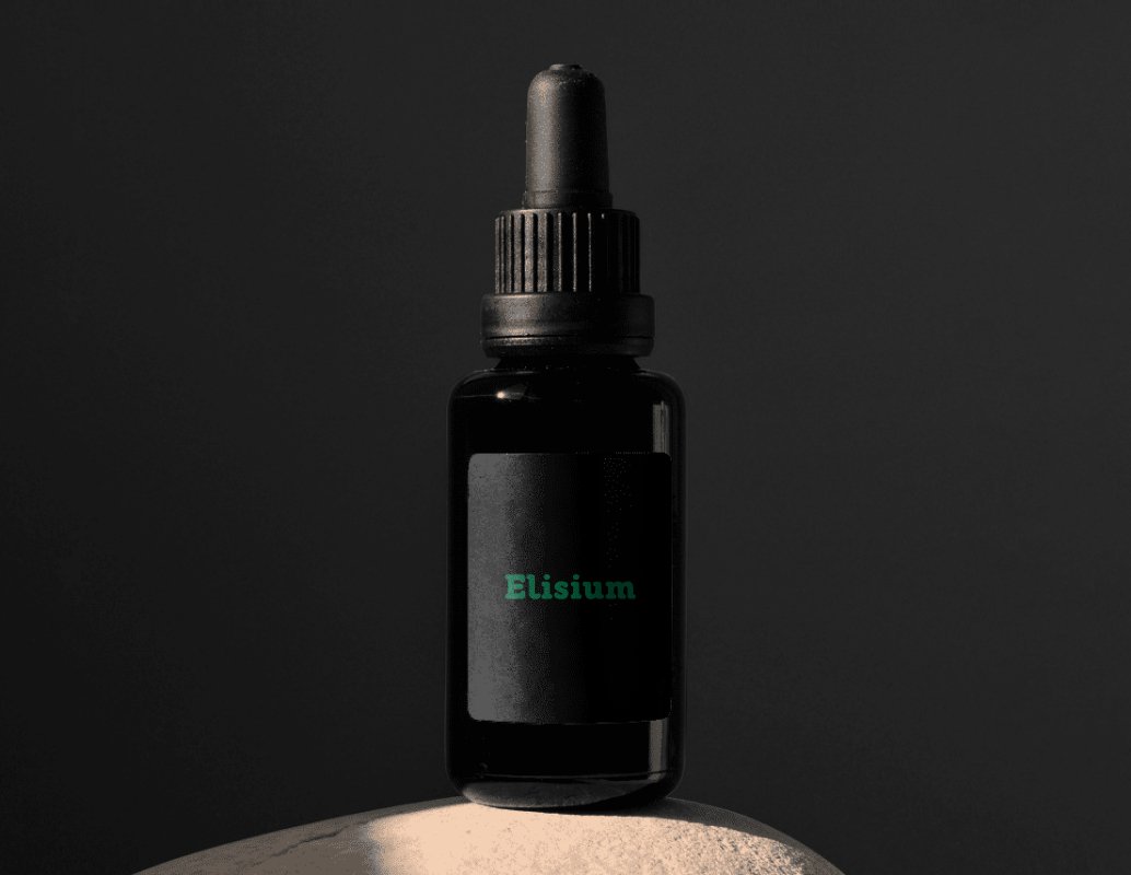 Company logo «Elisium» 2