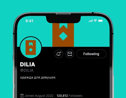 Company logo «DILIA» 1