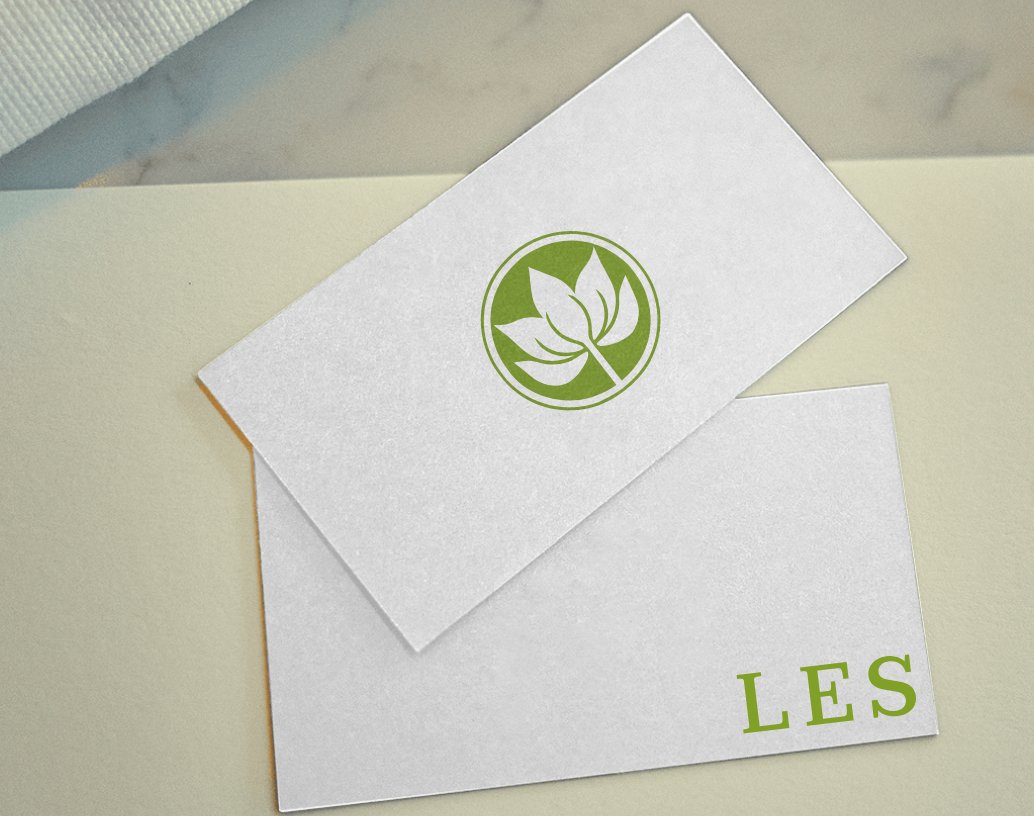 Logo of LES