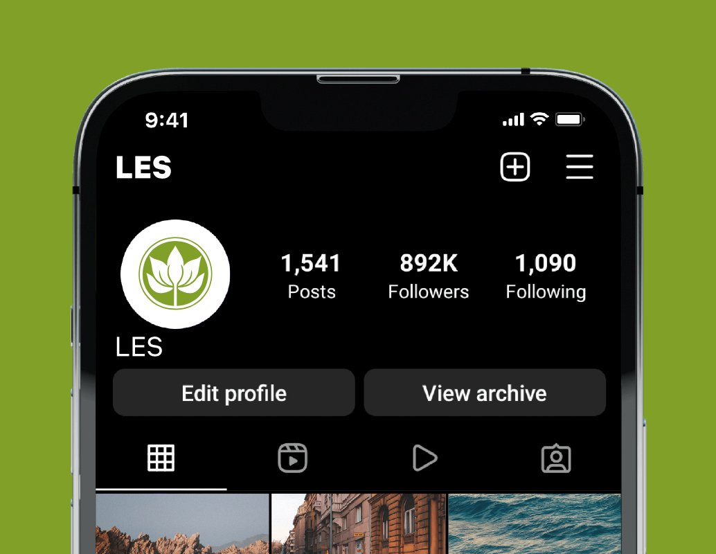 Company logo «LES» 1