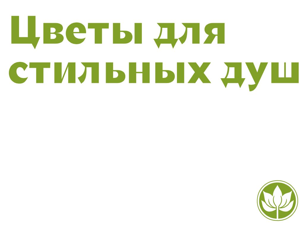 Company logo «LES» 5