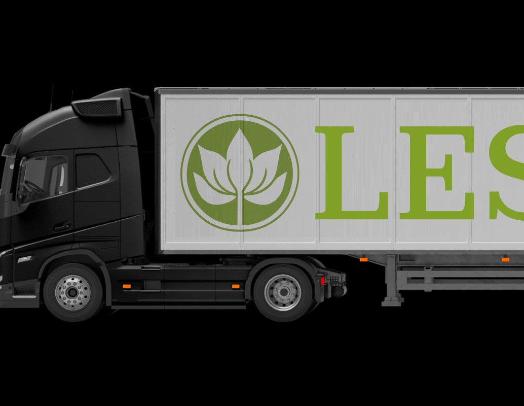 Company logo «LES» 2