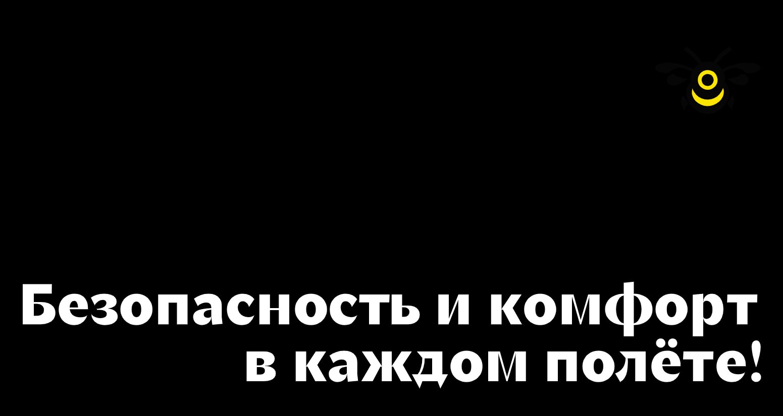 Company logo «Flylog» 5