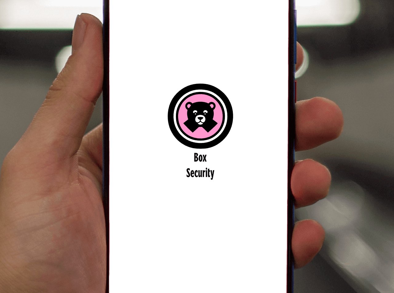 Company logo «Box Security» 1