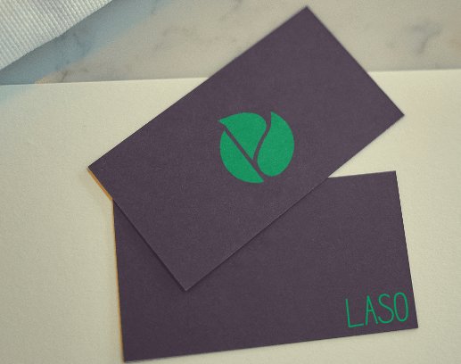 Company logo «LaSo» 3