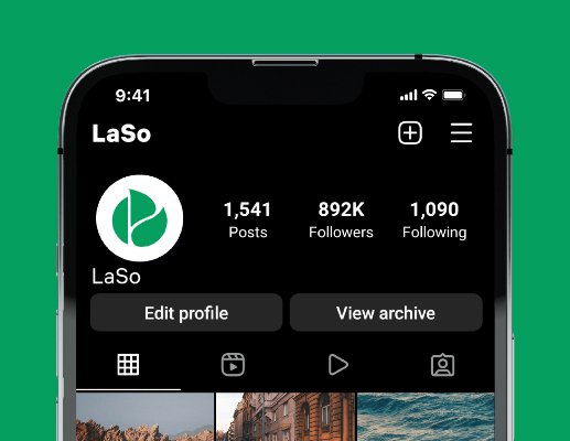 Company logo «LaSo» 1