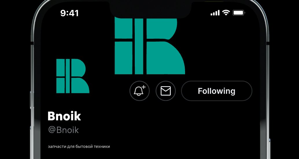 Company logo «Bnoik» 1