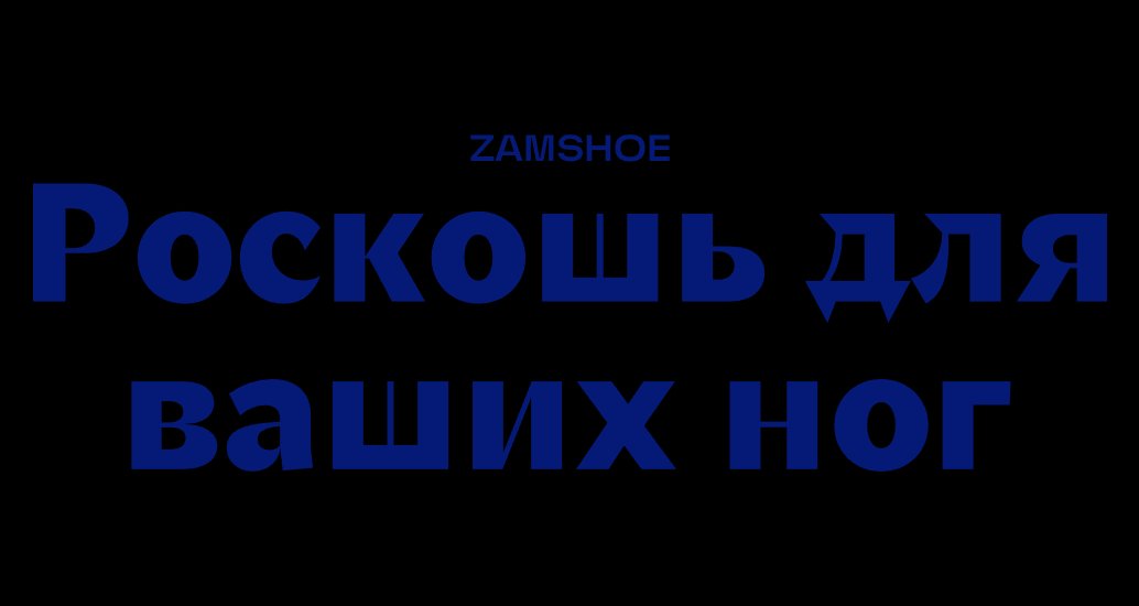 Logo of ZAMSHOE