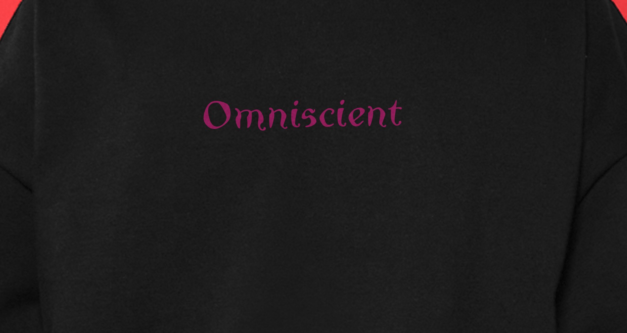 Company logo «Omniscient» 3