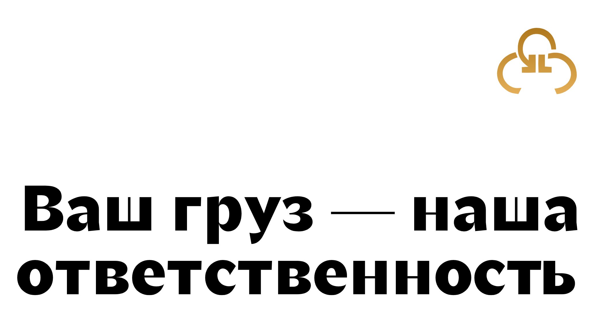 Company logo «SKY FLY» 5