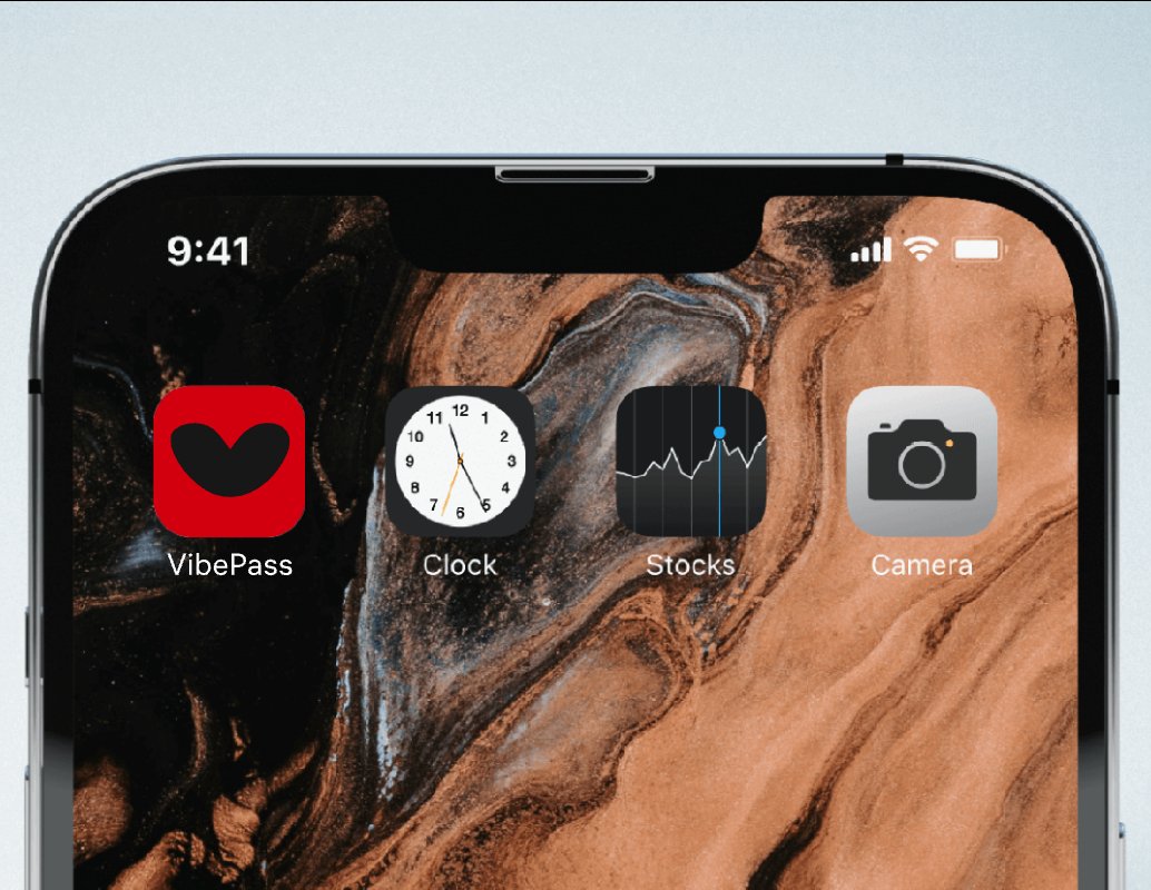 Company logo «VibePass» 1