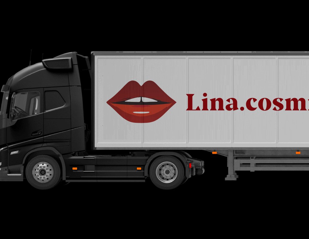 Company logo «Lina.cosmm» 2