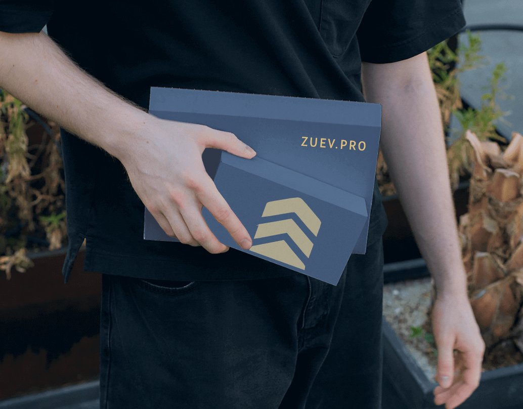 Company logo «ZUEV.PRO» 3