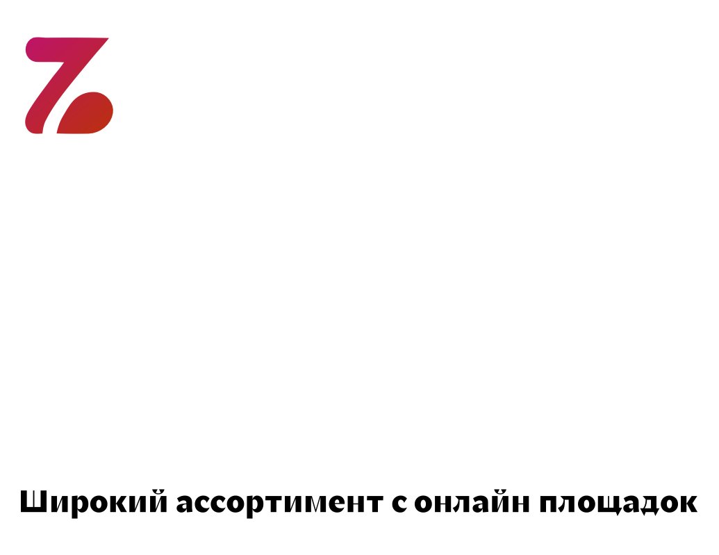 Company logo «ZVD.Store» 5