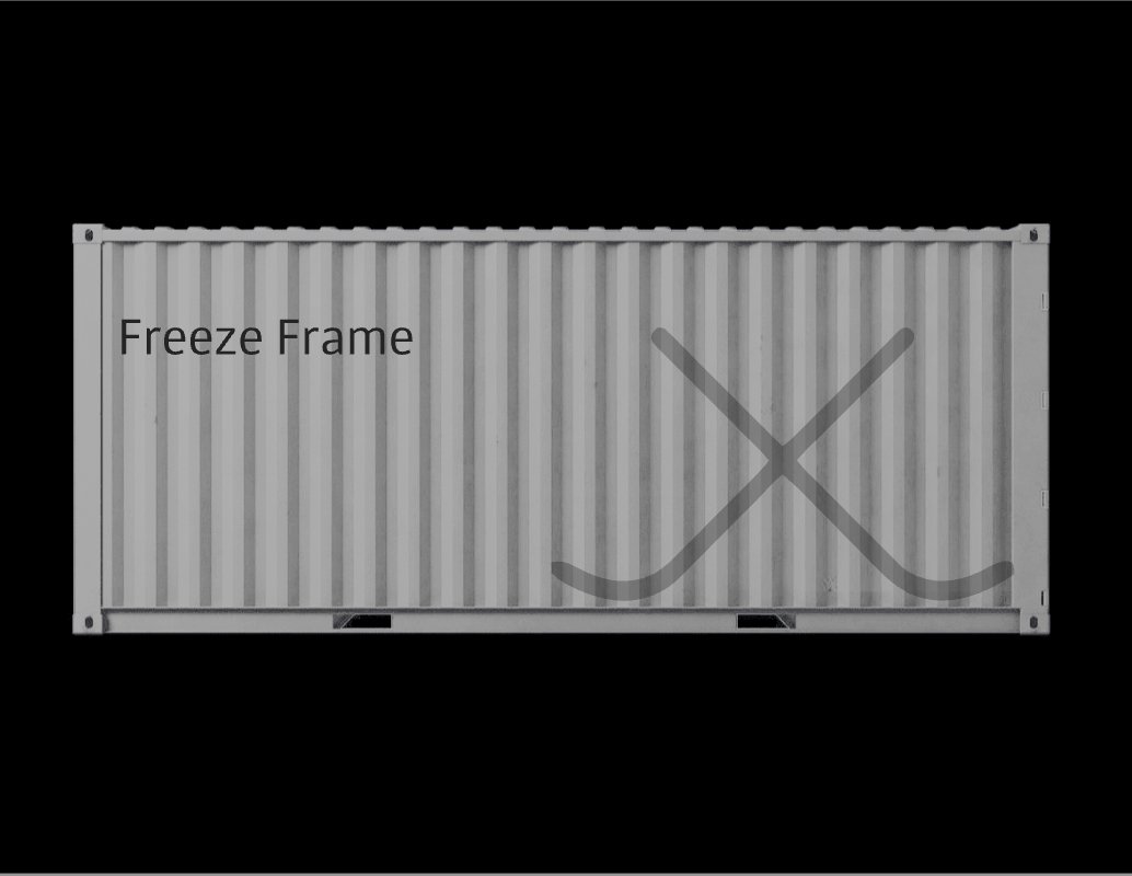 Company logo «Freeze Frame» 2