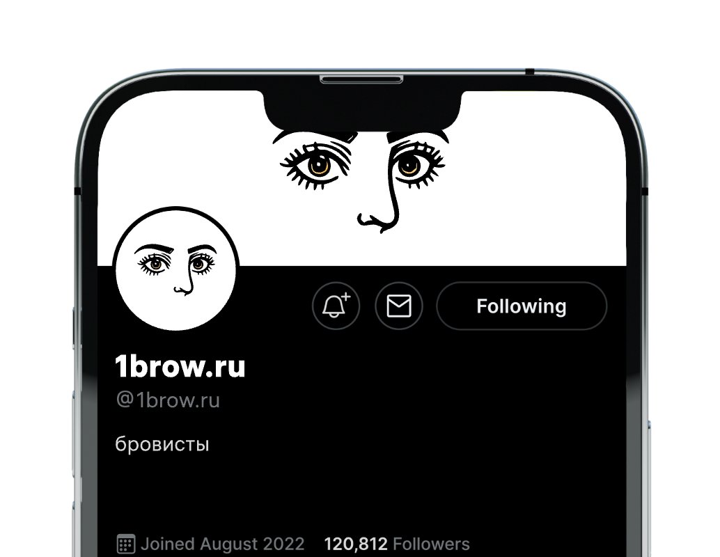 Company logo «1brow.ru» 1