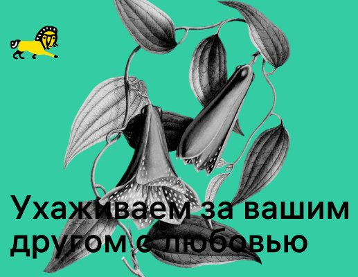 Company logo «grum-grum.ru» 5