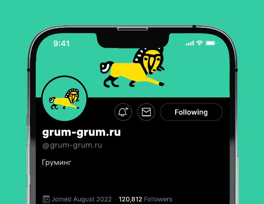 Company logo «grum-grum.ru» 1
