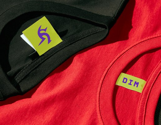 Company logo «DiM» 3