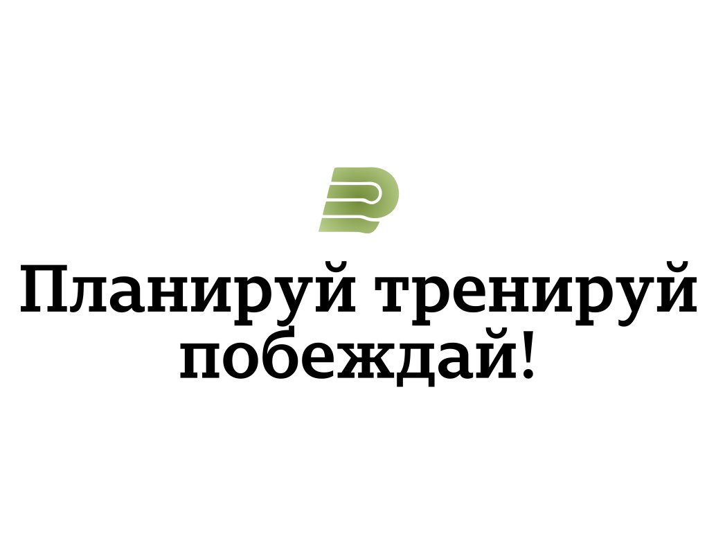 Company logo «PitchPlan» 4