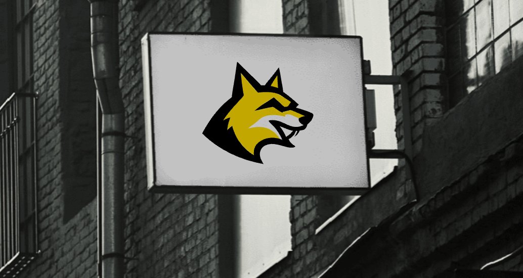 Company logo «Staya» 4