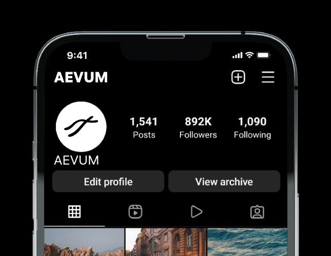 Company logo «AEVUM» 1