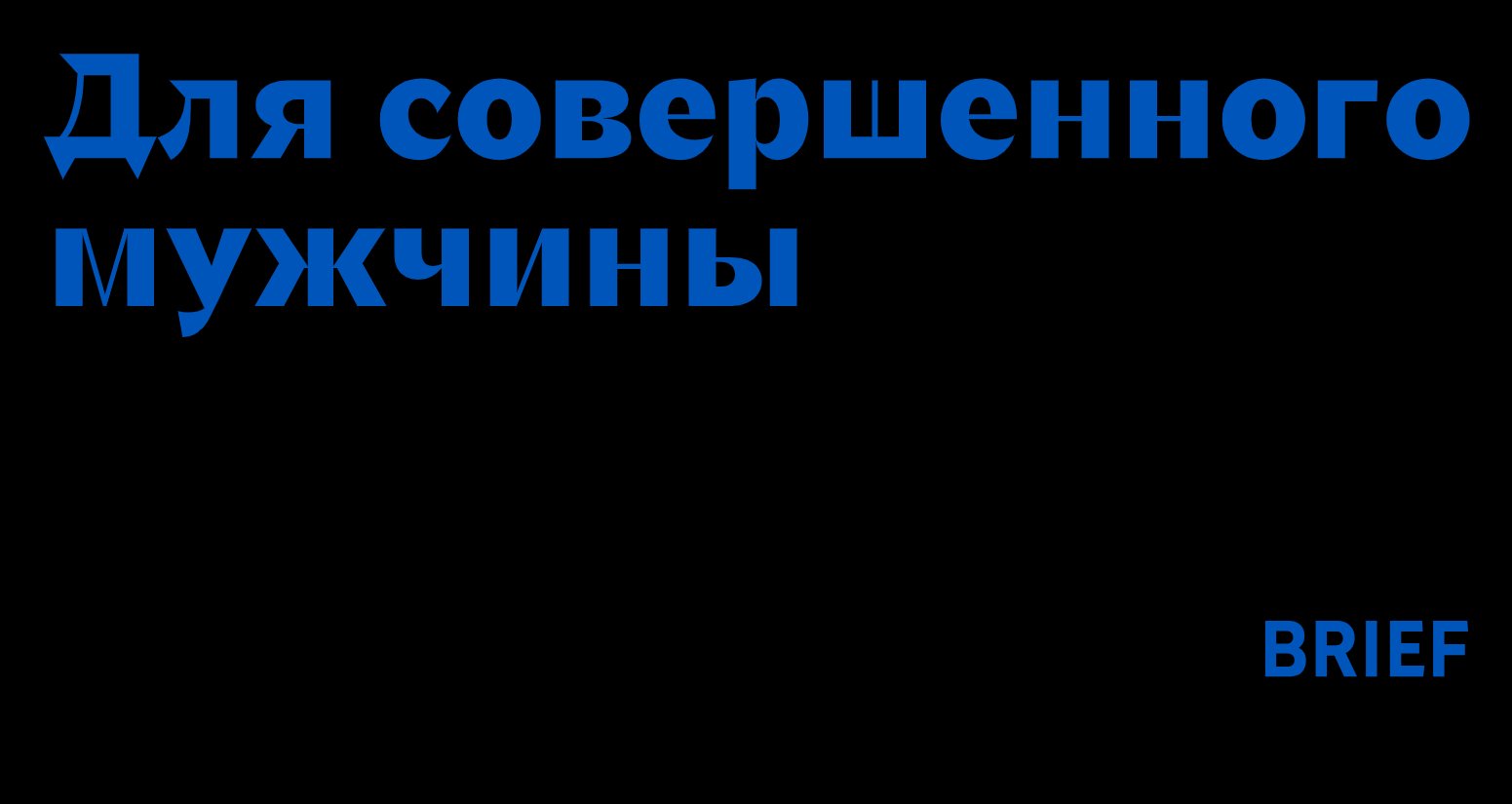 Logo of BRIEF