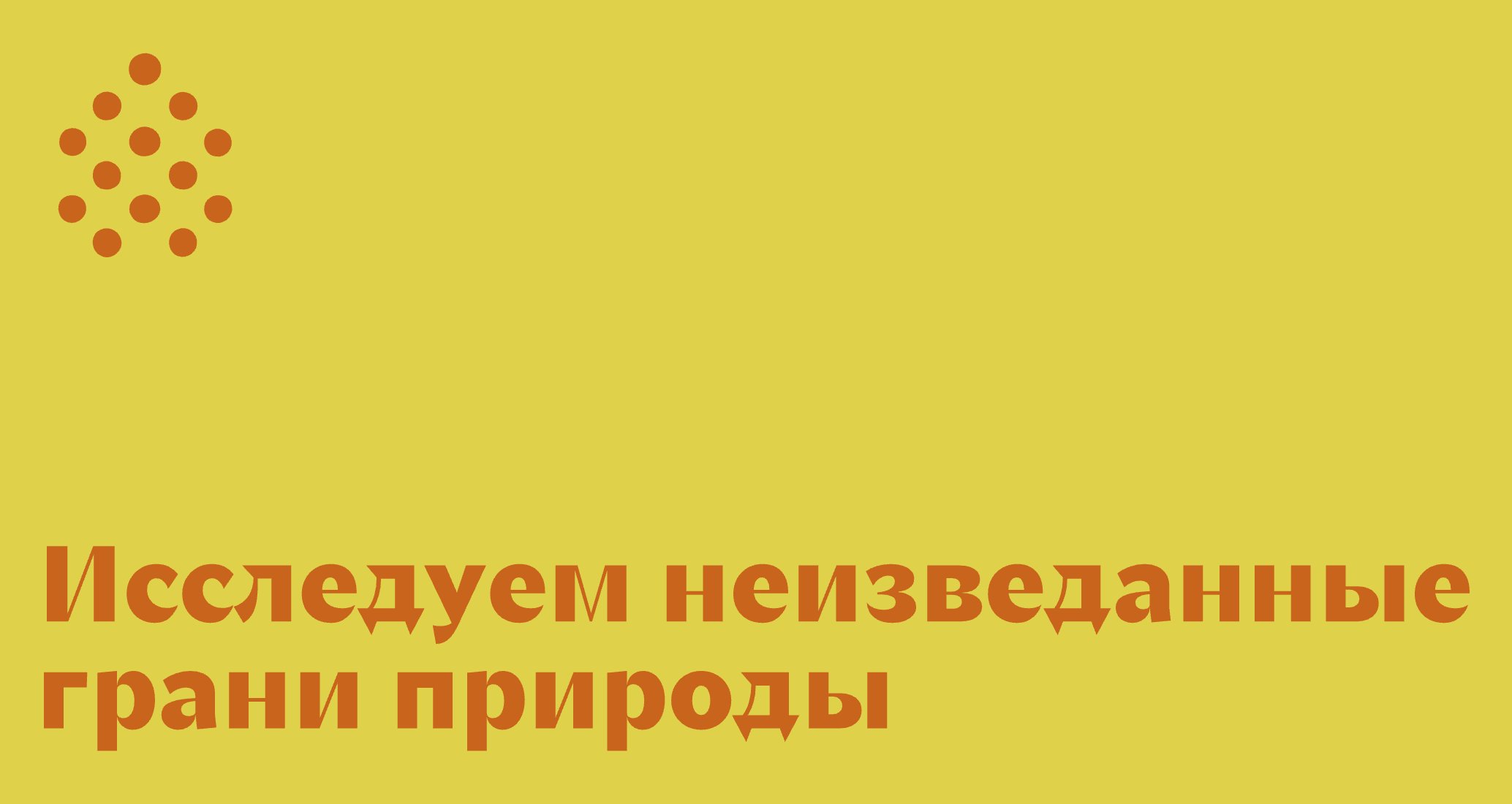 Company logo «Samvel» 5