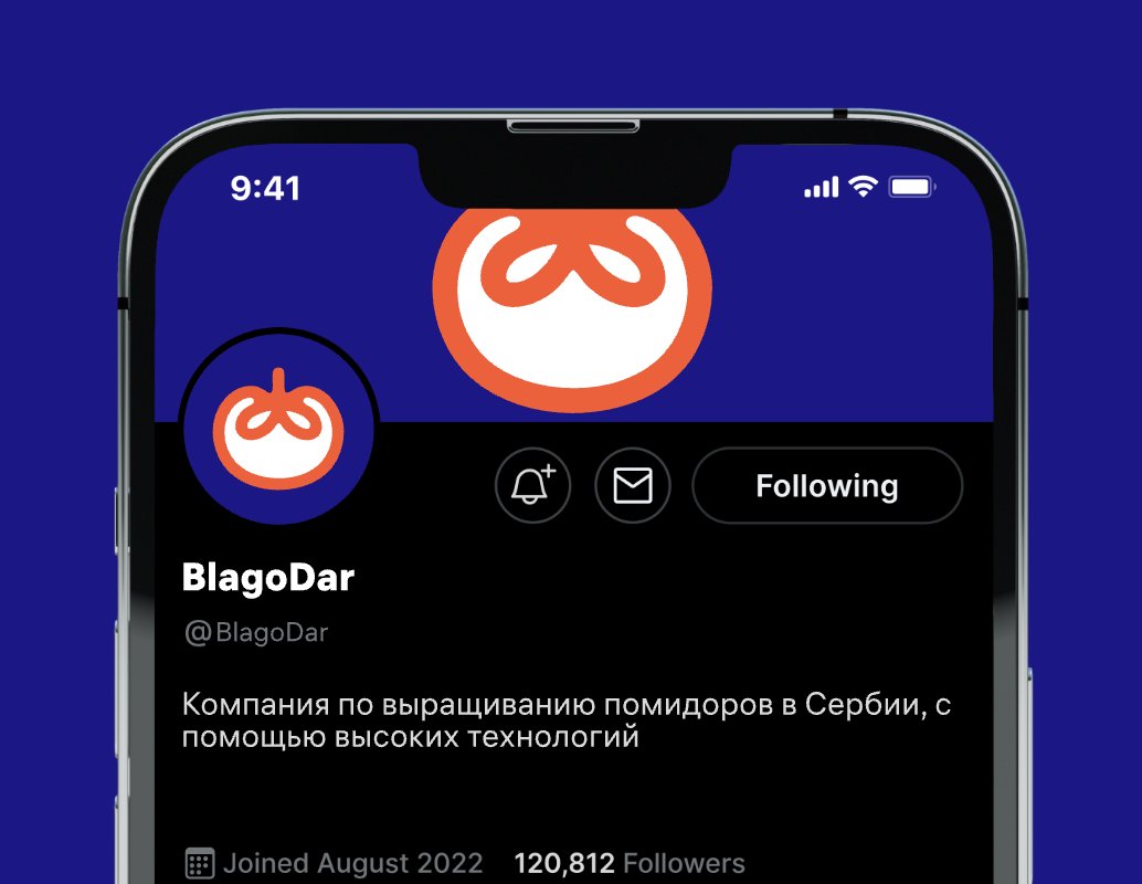 Company logo «BlagoDar» 1