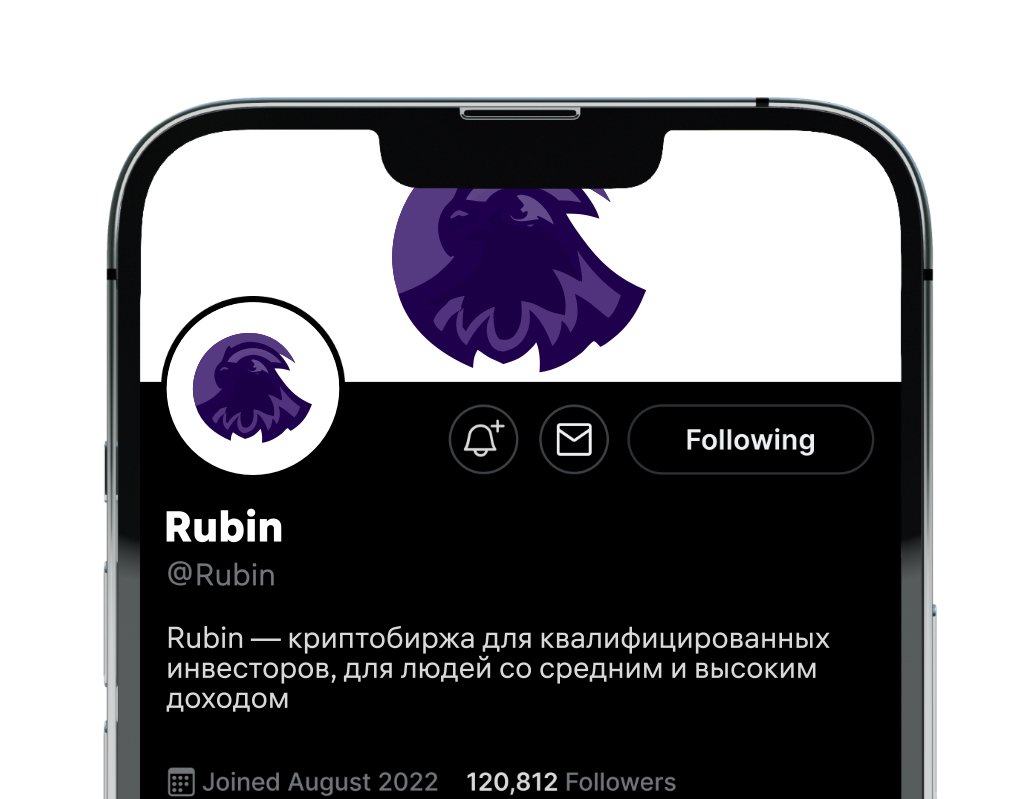 Company logo «Rubin» 1