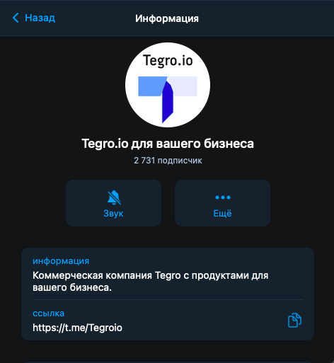 Company logo «Tegro.io» 2