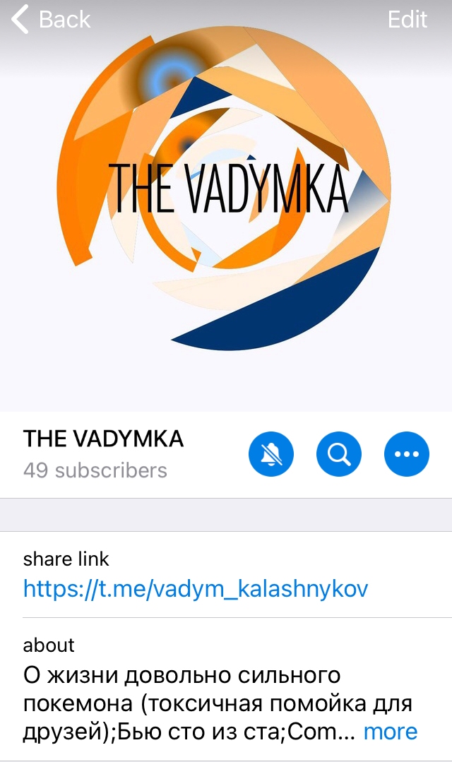 Logo of THE VADYMKA